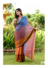 Jaana By Stavan Jari Chiffon Sarees Collections Wholesale In India